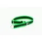 Preview: zugstopp halsband 2,5 breiter grüner streifen